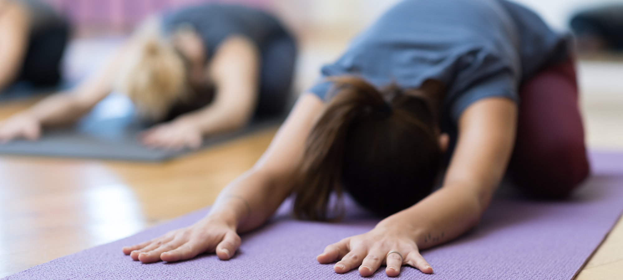 Yoga Teacher Training (YTT) in Halifax, NS, Moncton, NB, & St